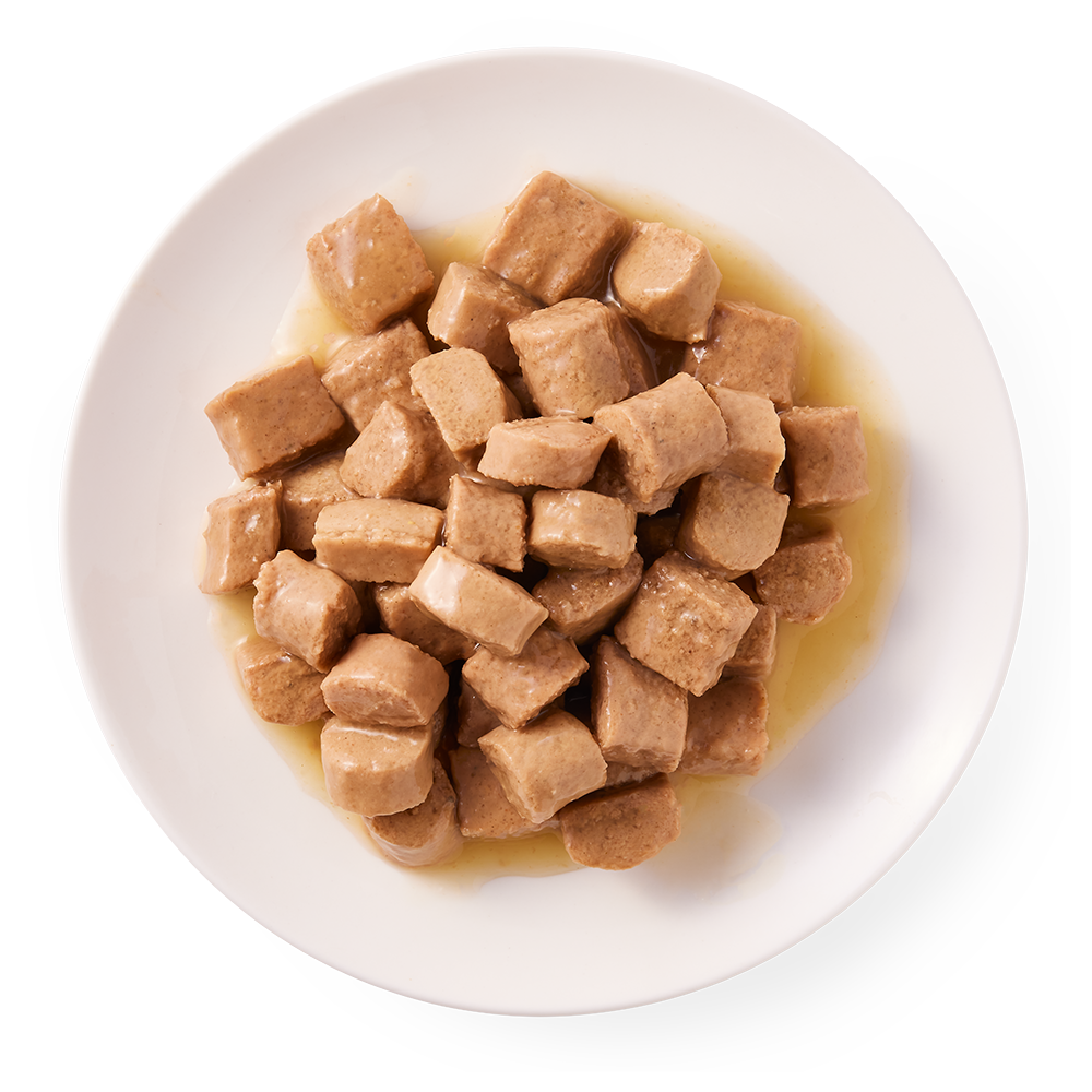 Yarrah's Organic Dog Food Chicken Chunks Delight in a Can